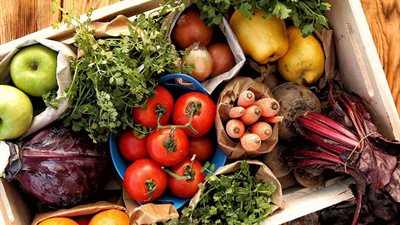 للمذاكرة خلال الصيام.. طبيب يحدد الأطعمة المغذية للمخ (فيديو)