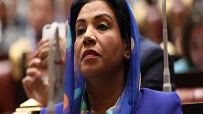 النائبة نشوى الديب تتابع تجهيز 500 وجبة إفطار.. وتشكر صندوق تحيا مصر 