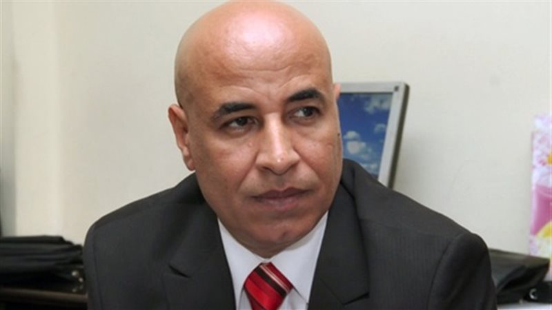 عادل حنفي، نائب رئيس