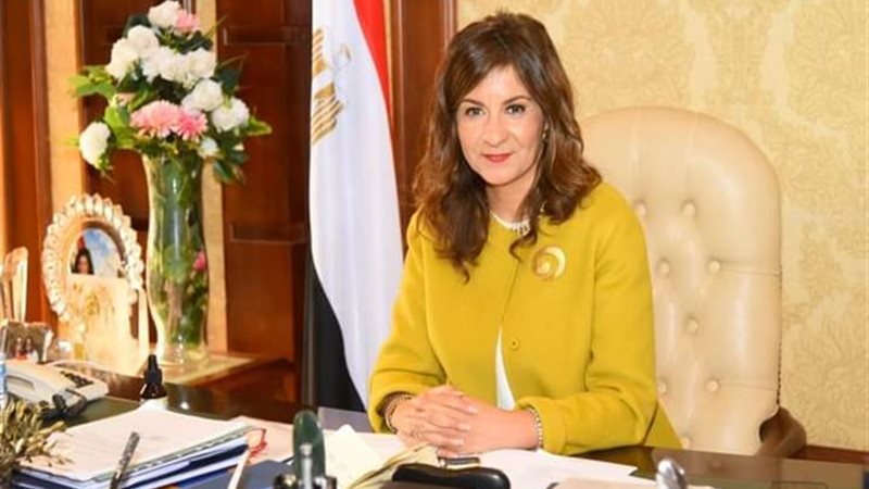 قانون تنظيم الهجرة