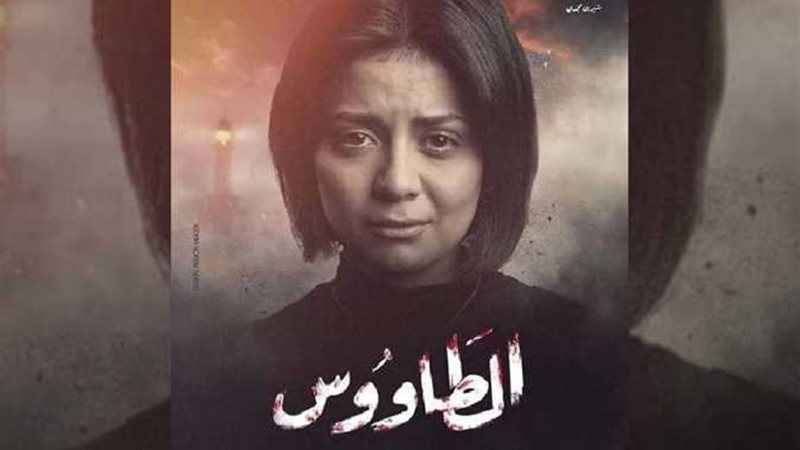 هير نيوز