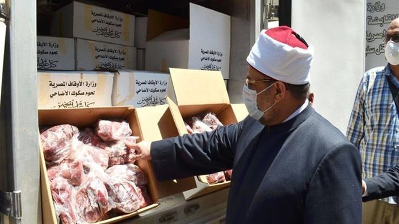 هير نيوز