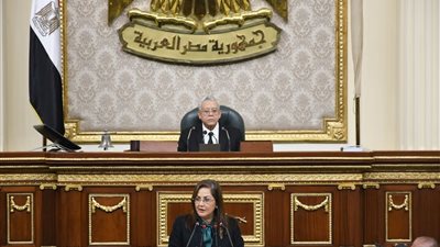 تضم 5 محاور.. وزيرة التخطيط تكشف لـ«النواب» خطة مواجهة الزيادة السكانية