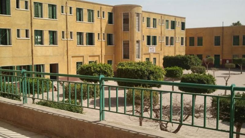 هير نيوز