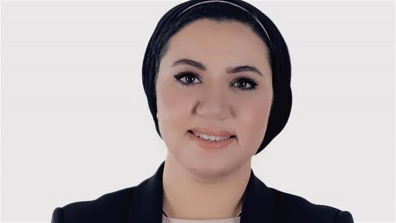 أميرة صابر عضو مجلس