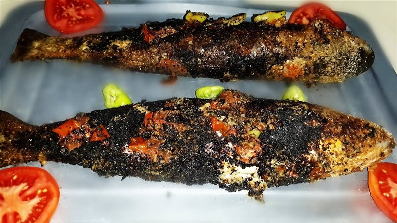 هير نيوز