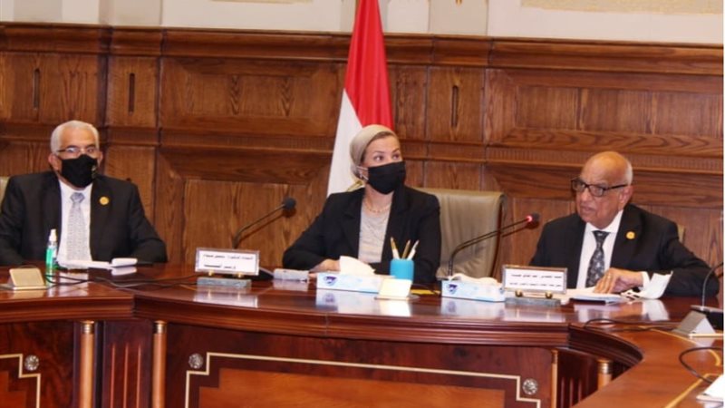 هير نيوز