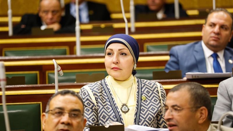 النائبة هالة أبو