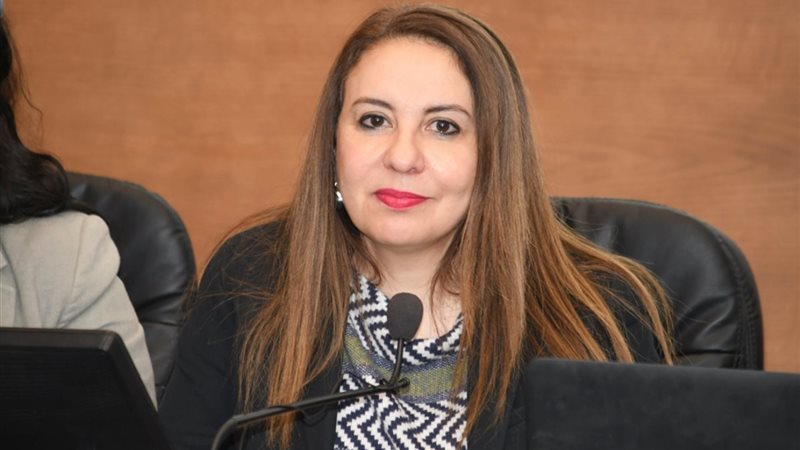 المهندسة غادة لبيب،