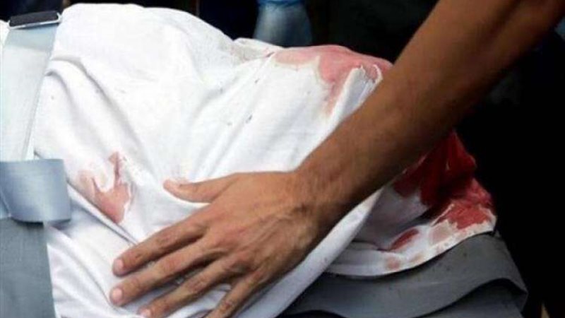 «عضت الإيد اللي اتمدت