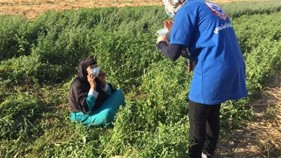 «الصحة»: حقائب أدوية كورونا للمخالطين وفرق توعية بالقرى والتجمعات بسوهاج