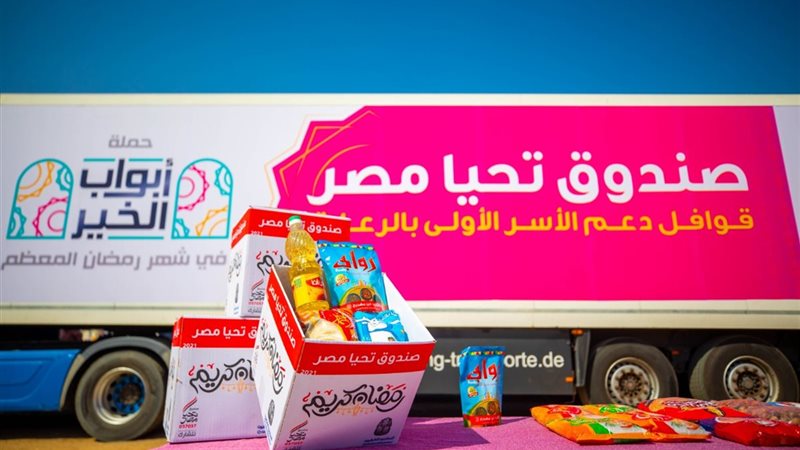 صندوق تحيا مصر