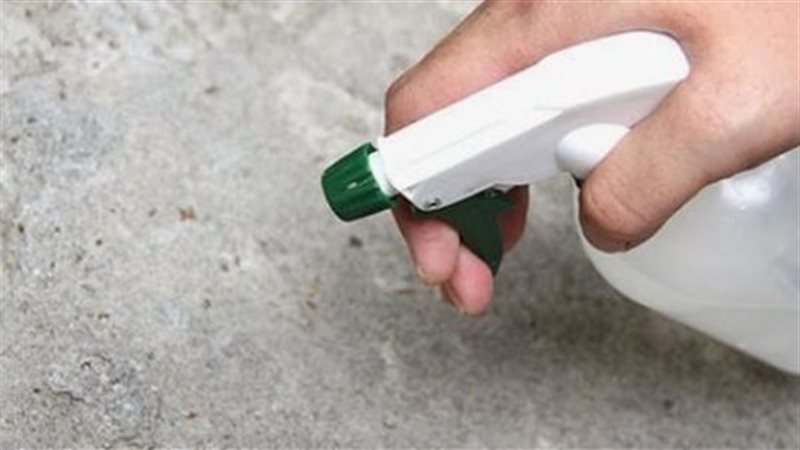 لربات البيوت.. احمي