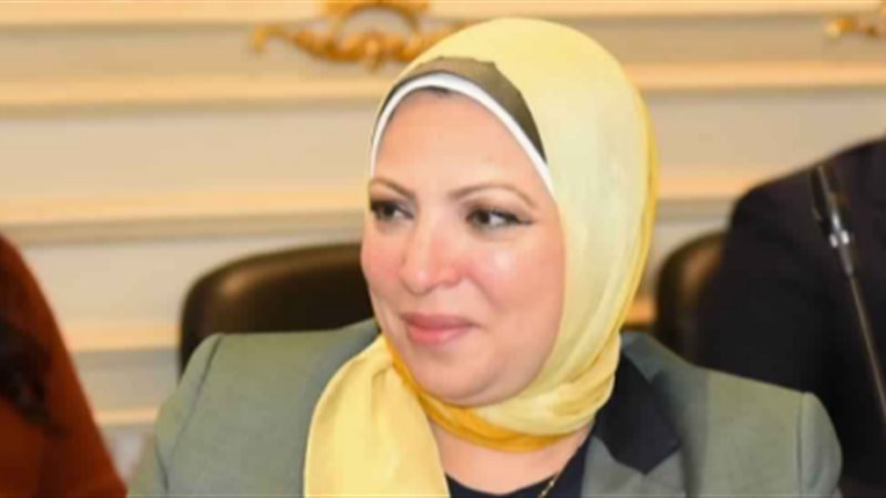 النائبة إحسان شوقي