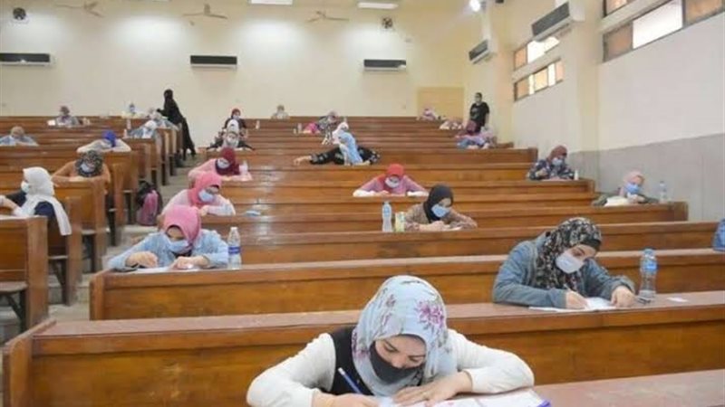 الحكومة تكشف حقيقة