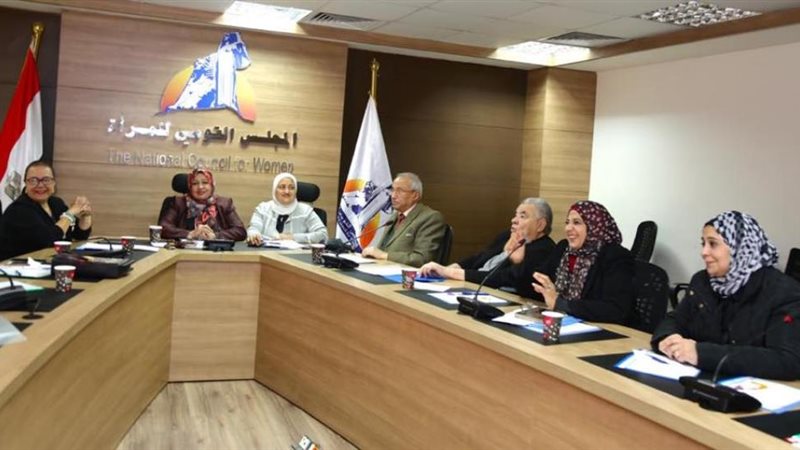 لجنة المحافظات بالمجلس