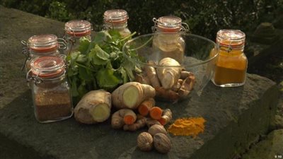 إقبال متزايد لمعالجة كورونا.. شعبة العطارة تكشف عن سر الأعشاب الأربعة