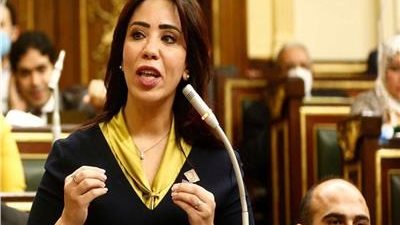 برلمانية: تكليف الصيادلة «حق دستوري» 