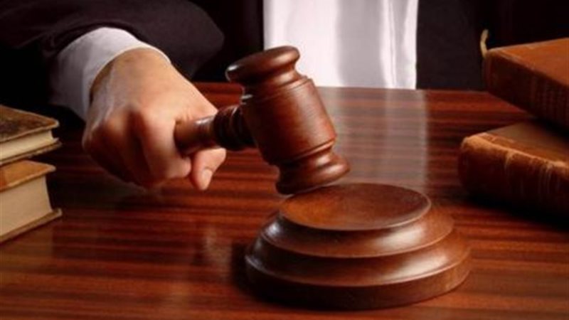 تفاصيل دعوى إثبات