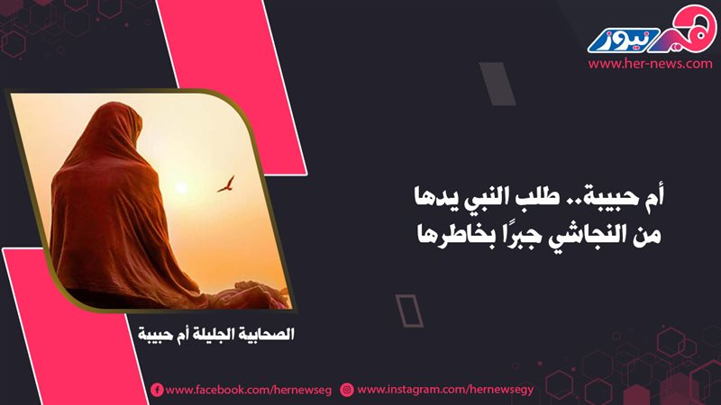 أم حبيبة.. طلب النبي