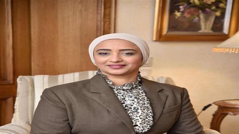 النائبة أميرة أبو