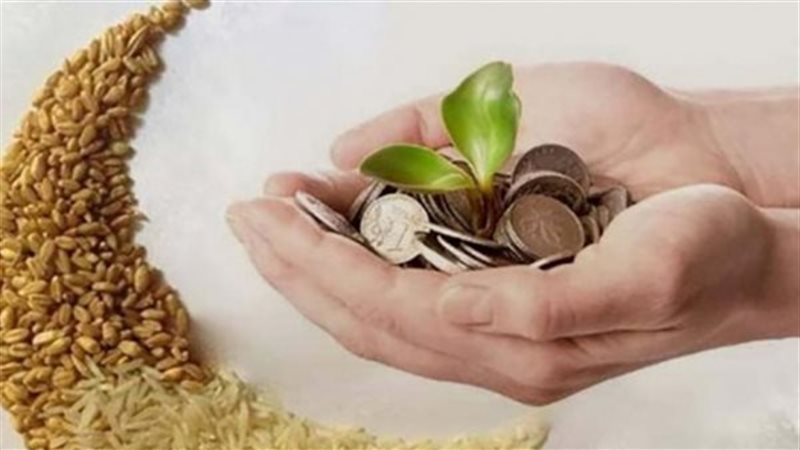 حكم إخراج زكاة المال