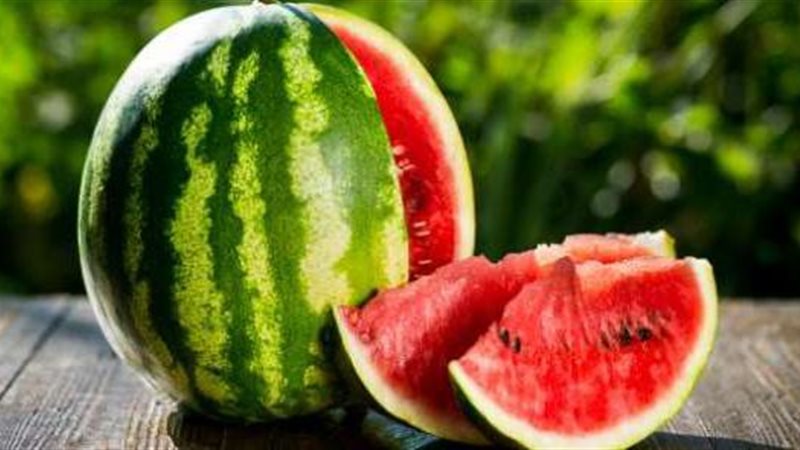 البطيخ المسرطن المحقون