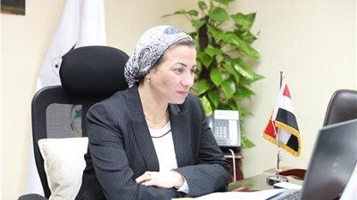 ياسمين فؤاد تناقش مع وزيرة الطاقة البريطانية التكيف لمواجهة تغير المناخ