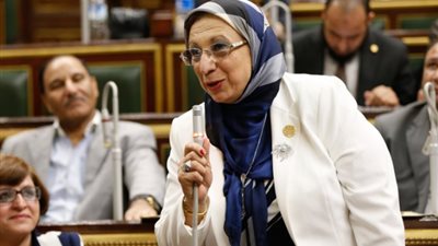 النائبة إيناس عبد الحليم ترصد مكاسب زيارة الرئيس السيسي لفرنسا