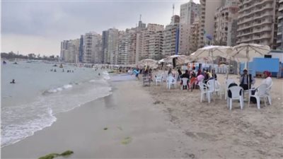 محافظة الإسكندرية تُطلق تطبيق إلكتروني لمعرفة نسبة إشغال الشواطئ| فيديو