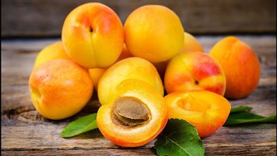 كنز من مضادات الأكسدة.. 8 فوائد مذهلة للمشمش