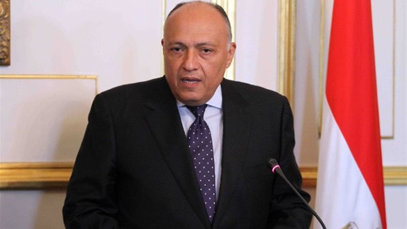 السفير سامح شكري
