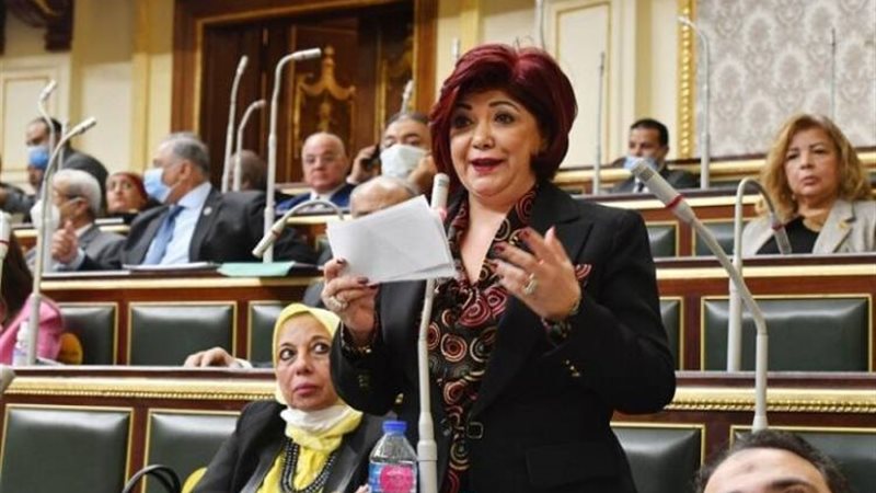 النائبة نورا على