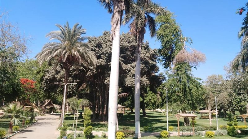 هير نيوز