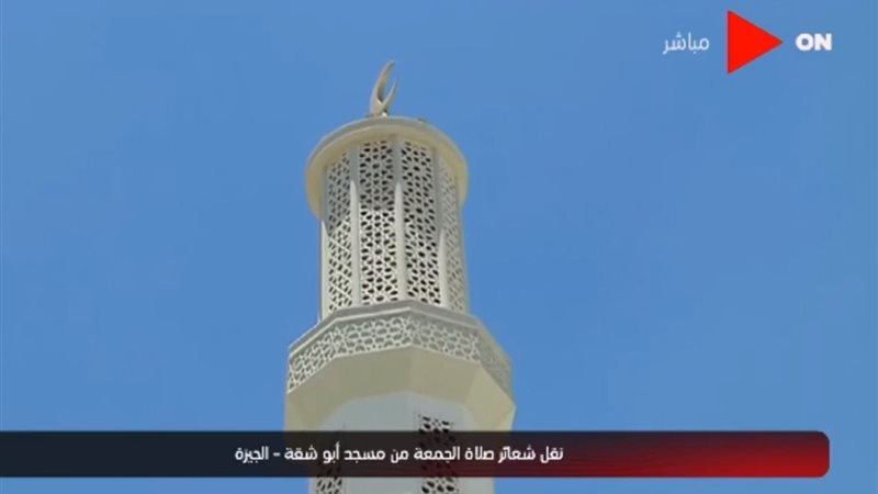 هير نيوز