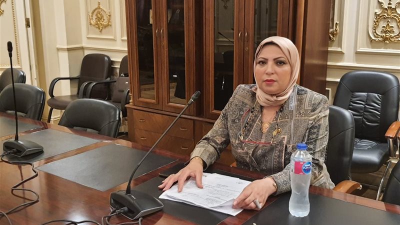 النائبة إحسان شوقي