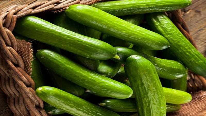 منها الخيار والبطيخ..