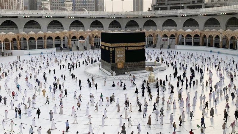 شركات السياحة تكشف