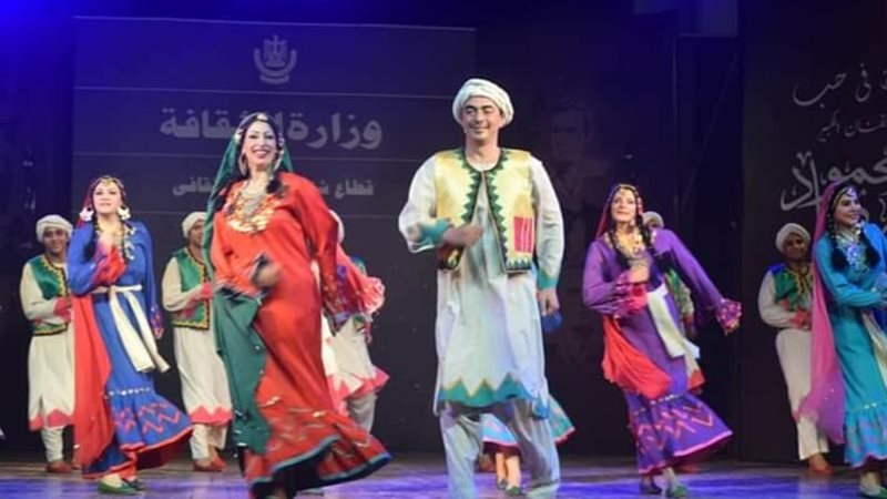 نشاط مكثف للفنون