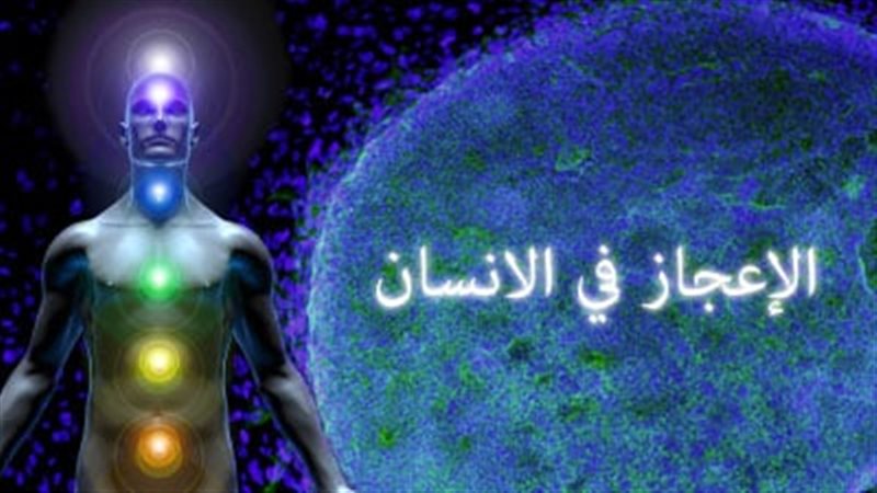 الإعجاز في جسم الإنسان