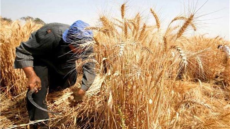 الطريقة المثلى لتخزين