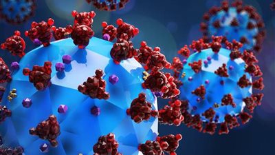 أستاذ فيروسات يُعلن ظهور سلالة جديدة أشد خطورة من كورونا| فيديو