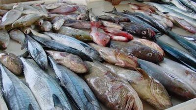 ارتفاع طفيف.. أسعار السمك اليوم 30 - 5 - 2021