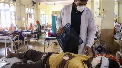 «وحدة تثقيف الغذاء» تكشف علاقة الفطر الأسود بالخضروات| فيديو