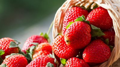 تمنع تساقط الشعر.. اعرفي أهم فوائد الفراولة