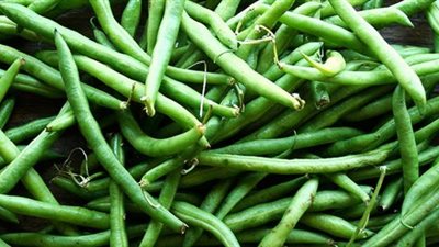الفوائد الصحية للفاصوليا الخضراء