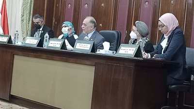 رئيس تضامن النواب ينفعل على أعضاء 