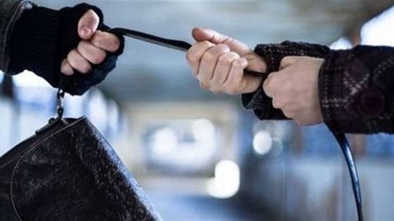 حبس لصين بتهمة سرقة