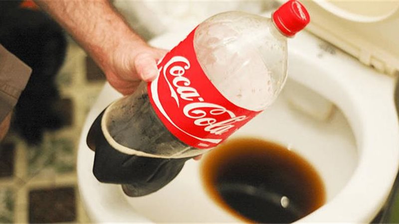 من حوض المرحاض إلى