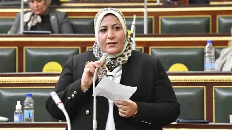 النائبة غادة الضبع